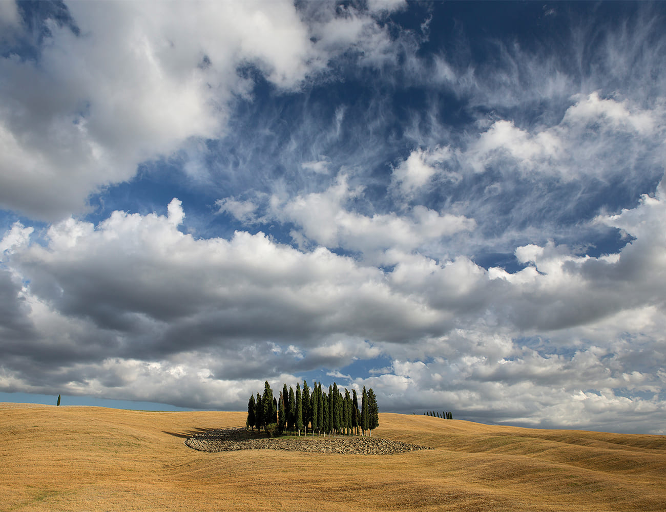 campo toscano